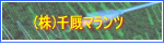 (��)��X�}�����c