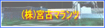 (��)�{�Ã}�����c